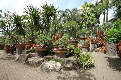 A composition of pots with tropical flowers and stones and trees and grass in the Nong Nooch tropical botanic garden near Pattaya city in Thailand