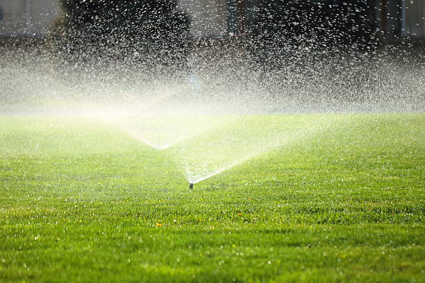istock garden sprinkler on the green lawn 512864765