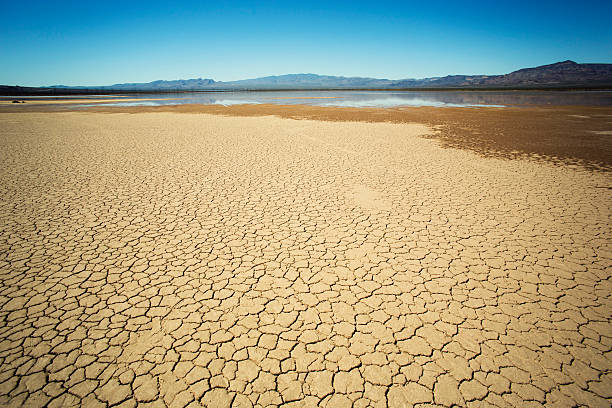 Mojave Desert with rare rainfall Mojave Desert with rare rainfall. lake bed stock pictures, royalty-free photos & images