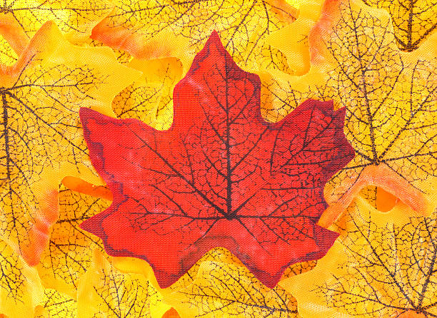 istock Fake fall leaves with a red leaf in the center 512866305