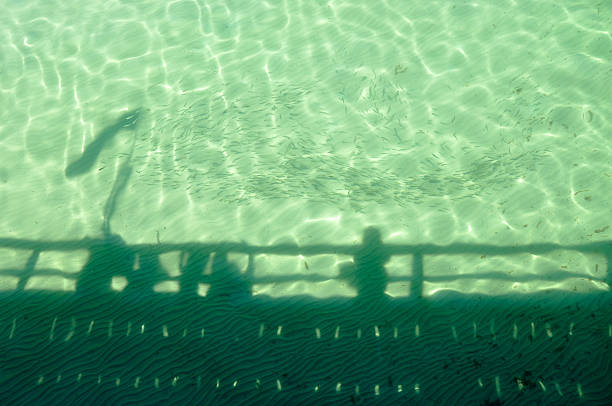Silhouettes of people standing on a jetty with flagpole in clear green Indian Ocean water with reflecting light and a school of small fish swimming by.