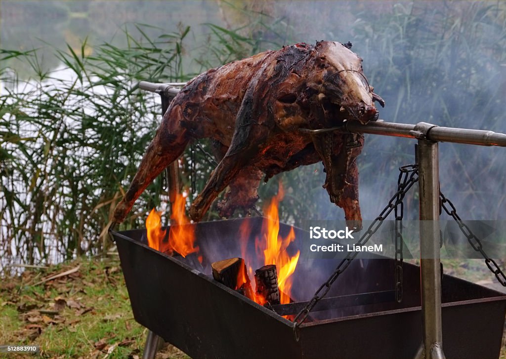 Мясо на вертеле в лесу фото Мясо на вертеле в лесу фото