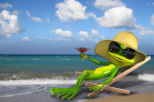Illustration of a green frog in a deckchair on the beach