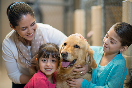 A mother and her two daughters are at the pound and are picking out a dog to adopt.