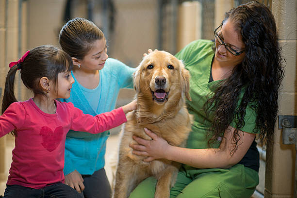 Volunteering At An Animal Shelter Stock Photo - Download Image Now - Humane  Society, Adoption, Animal - iStock