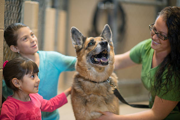 istock Two Little Girl Petting a Dog 512887220