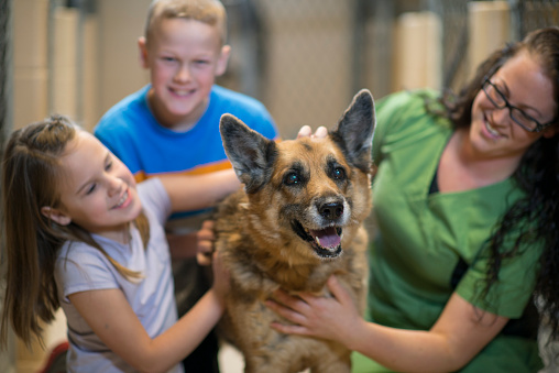 A brother and sister are at the dog pound and are picking out a dog to take home.