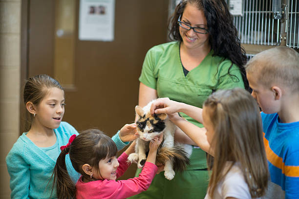 istock Volunteering at an Animal Shelter 512887262