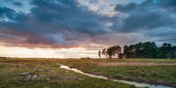 istock Late summer night in sweden 512889095