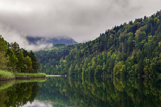 istock Alpsee near Hohenschwangau 512891253