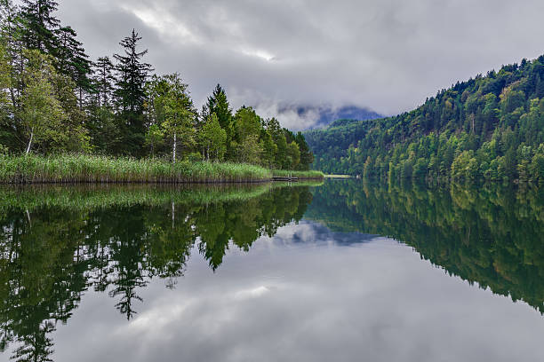istock Alpsee near Hohenschwangau 512892029