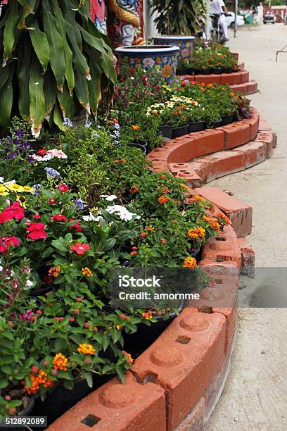 Front Yard Garden Stock Photo - Download Image Now - Botany, Brick, Calibrachoa