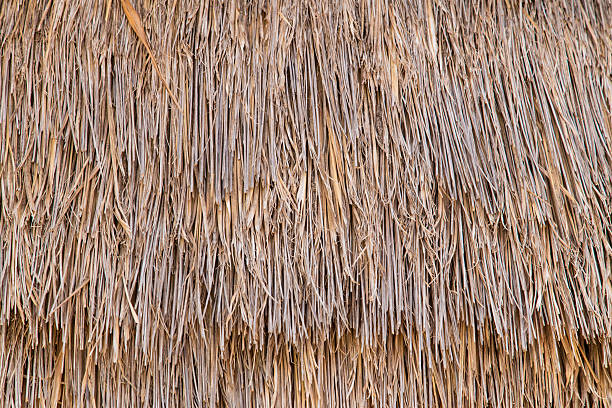 Straw or Dry Grass Background Surface Texture Pattern Straw or Dry Grass Background Surface Texture Pattern straw roof stock pictures, royalty-free photos & images