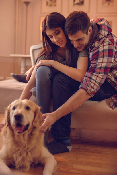 istock Embraced couple at home with golden retriever. 512892168