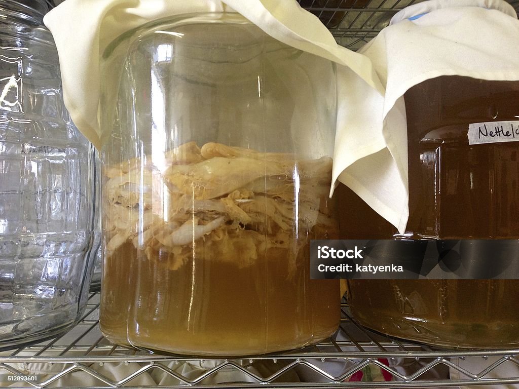 Kombucha brewing in a large jar A large glass jar on a metal shelf holding a kombucha mother, or scoby, and liquid. Kombucha is a fermented beverage becoming increasingly popular in North America and available for sale in many grocery and health food stores. Kombucha Stock Photo
