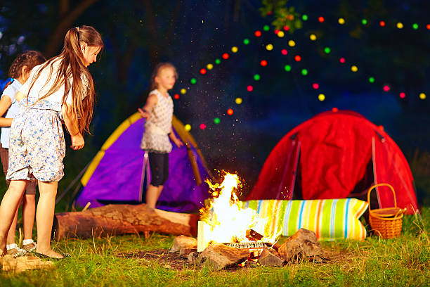 bambini gettare legno nel fuoco campo estivo - recreate foto e immagini stock