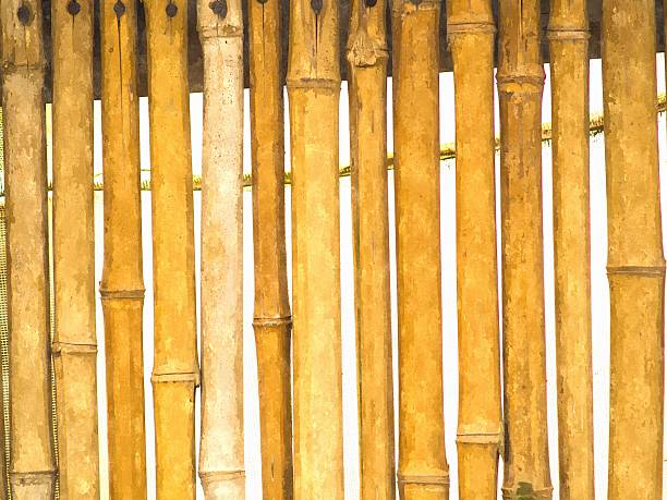 istock Bamboo fence watercolor illustration 512894251