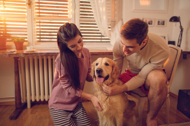 istock Young couple with their dog enjoying at home. 512894300