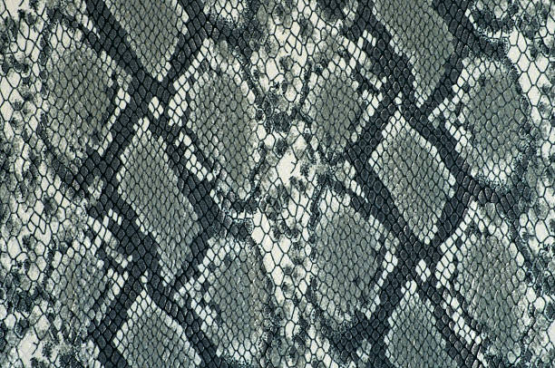 istock Grey fabric with snake print closeup 512899968