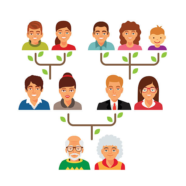 ilustraciones, imágenes clip art, dibujos animados e iconos de stock de tabla del diagrama de genealogía de árbol familiar - genealogical