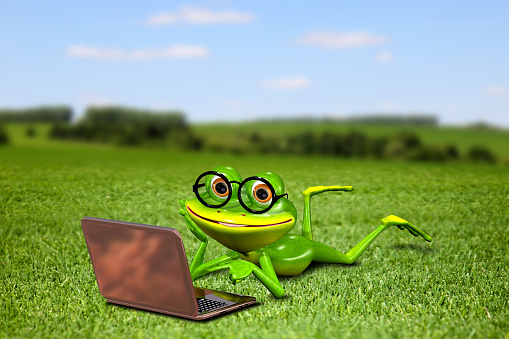Illustration frog with a laptop on the grass