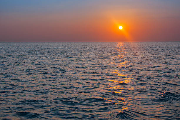 istock Twilight sunset at sea beach in rose quartz & serenity 512910408