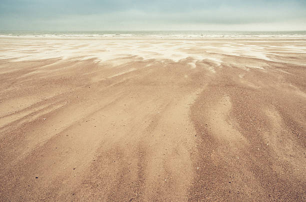 istock sand dunes on North Sea 512910488