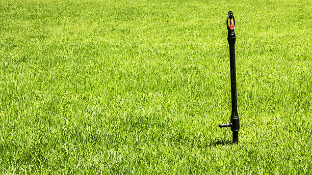 istock sprinkle plastic in the green field 512919731