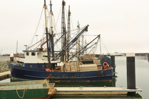 Fishing boats at the docks of the harbor at Crescent City, California, USA, in a very clody morning. These vessels are part of the moving econimy of the area, the fishing industry keep the business growing for its peole and tourists