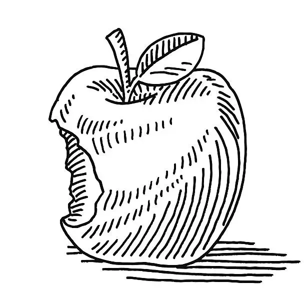 Vector illustration of Apple Fruit Missing Bite Drawing