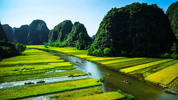 cánh đồng lúa và sông, ninh tân, cảnh quan việt nam - ninh bình hình ảnh sẵn có, bức ảnh & hình ảnh trả phí bản quyền một lần