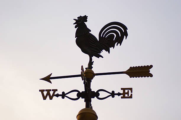 istock Weathercock, Go west 512939883
