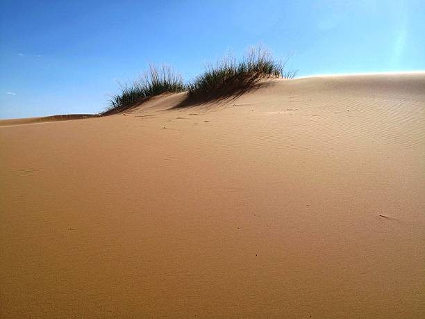 istock Coral Pink Sand Dunes State Park, Utah 512940437