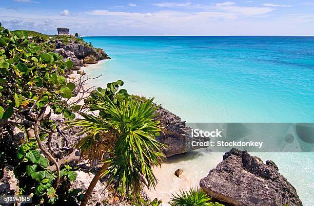 Tulum Stock Photo - Download Image Now - Animal Wildlife, Archaeology, Beach