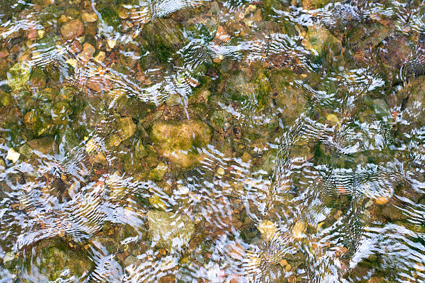 istock Background of water and stone with moss 512943365