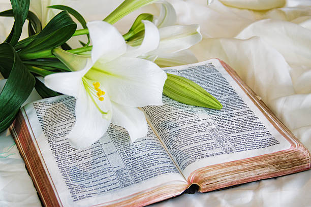 lily leg dich auf eine alte bibel auf ostern morgen - madonnenlilie stock-fotos und bilder