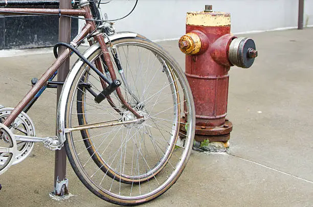 Bicycle and Fire Hydrant