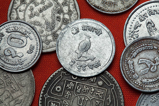 istock Coins of Nepal. Himalayan monal (Lophophorus impejanus) 512965736