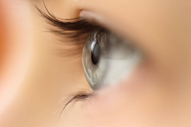 istock Female eye with long eyelashes close up 512968026