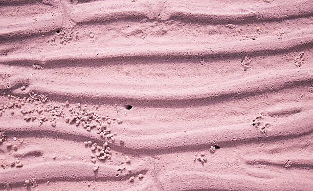 розовые стены бумаги арт фроум песчаный - sandy brown day the americas north america стоковые фото и изображения