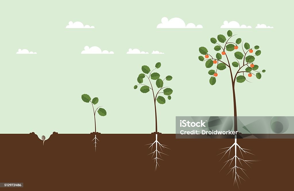 Growing Tree Illustration Tree stock vector
