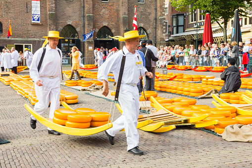 Alkmaar, The Netherlands - September 7 2012: Carriers walking with cheese at a famous Dutch cheese market.