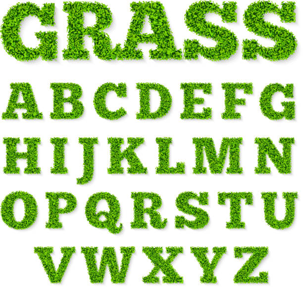 緑の芝生アルファベット - 草原点のイラスト素材／クリップアート素材／マンガ素材／アイコン素材