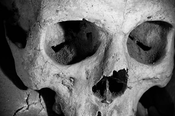 istock Skull of Cemetery in Naples - Italy 512976420