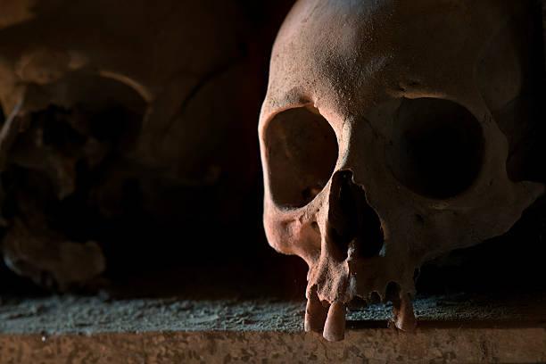 istock Skull of Cemetery in Naples - Italy 512976762