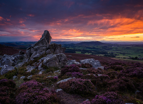 Rocks and heather on the Stiperstones in foreground with Corndon hill in the distance with the sun having just set lighting up the sky, South Shropshire hills.