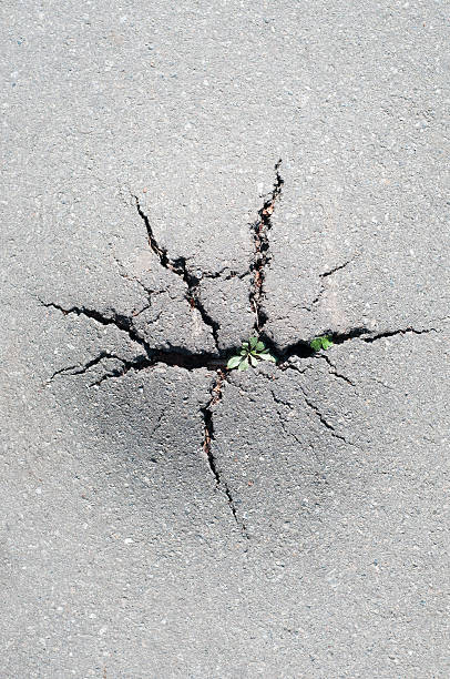 istock Grass broke through the crack in the pavement 512979160