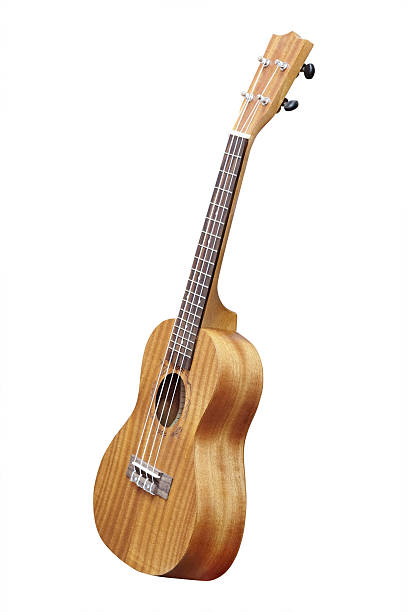 istock The image of a hawaiian guitar 512980029
