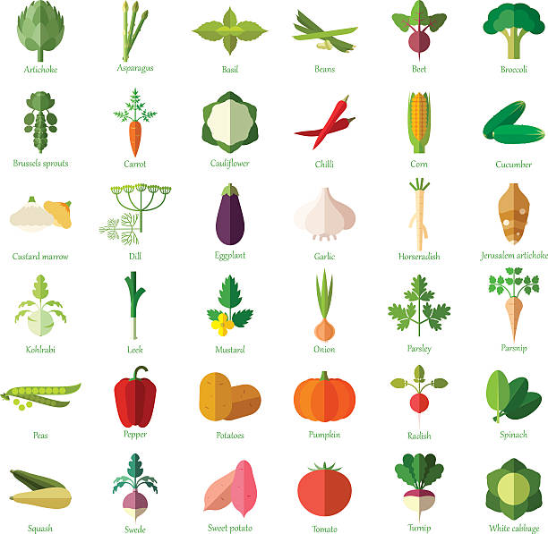 illustrazioni stock, clip art, cartoni animati e icone di tendenza di gruppo di icone piatto di verdure - campo di pomodori