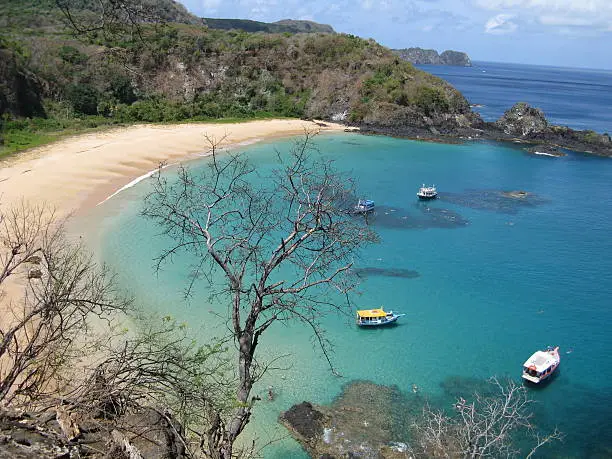 Photo of Praia do Sancho in Brazil with dive boats